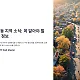 https://sga.mcafe.me/data/editor/2412/thumb-5b72dd875c24900c8e074ffc831b90d8_1734354183_5559_80x80.webp
