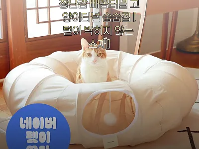 소심한호랑이 고양이장난감 빼꼼터널 사 관련 이미지